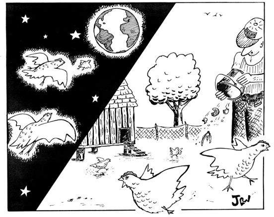 space chickens 990x768